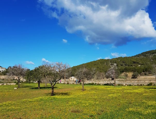 secret barcelona in Ibiza