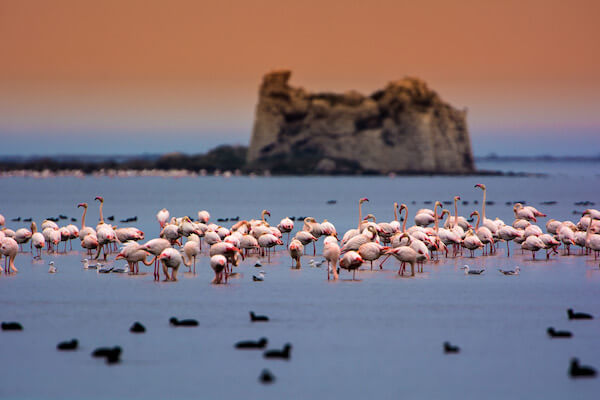 visite privee du delta de l'ebre