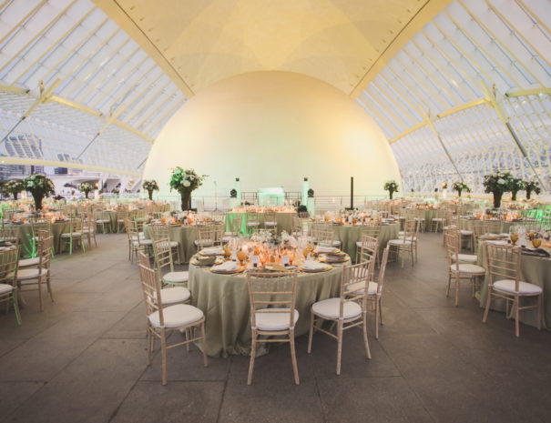 Beautiful gala dinner in the City of Arts and Sciences in Valencia in Spain