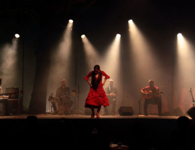Flamenco show in Barcelona