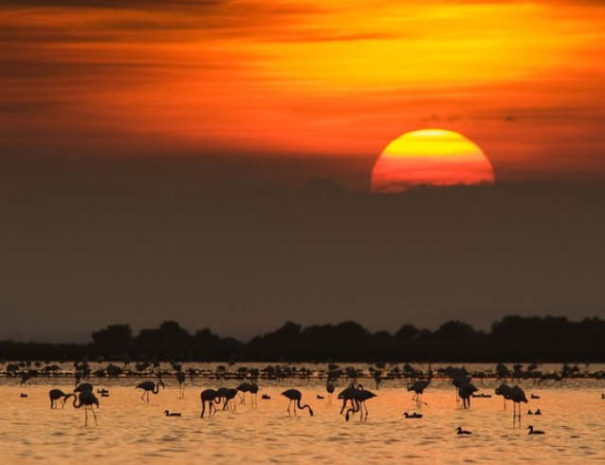 Catalonia sunset