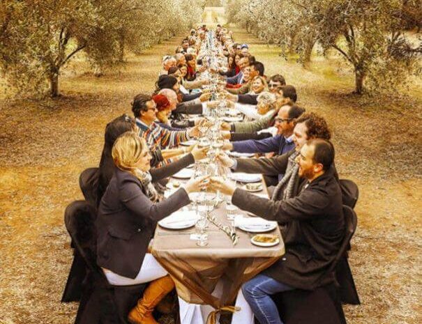 Olive grove experience in Mallorca