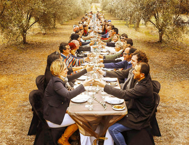 Olive grove team building experience in Mallorca