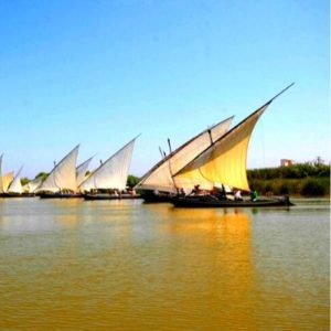 Parc-naturel-albufera-valence