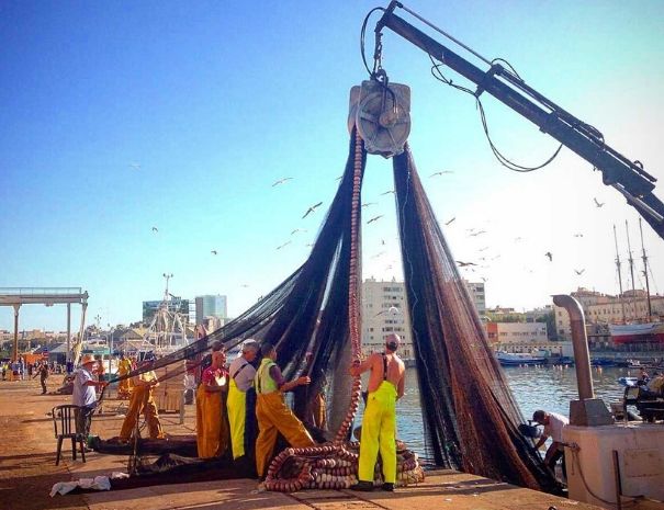 Barcelona Private tour Fisherman harbour