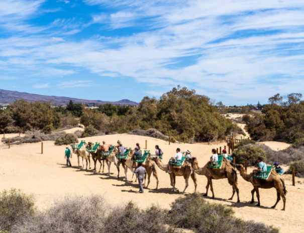 Désert Maspalomas Grande Canarie