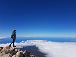 Découvrir Tenerife