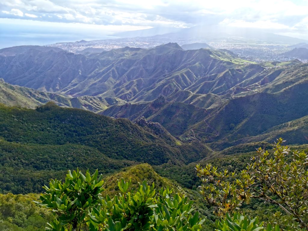 Vallée du Parc rural d'Anaga, Tenerife