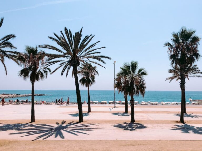 Plage de Barcelone avec palmiers