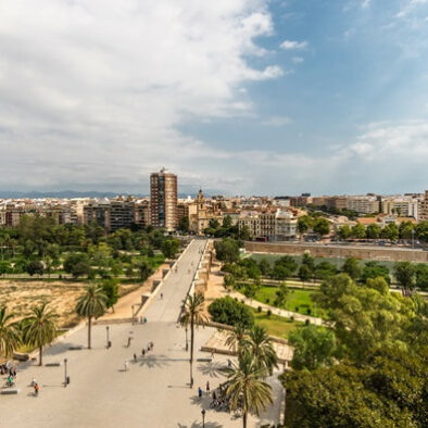 vue aérienne Jardín del Turia