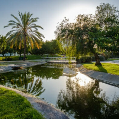 Jardín del Turia