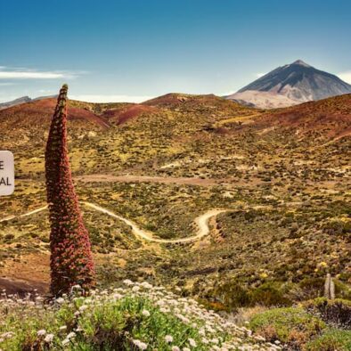 Parc du Teide à Tenerife