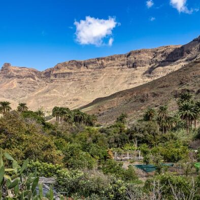 Randonnée dans la région de la Grande Canarie