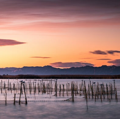 coucher du soleil à l'Albufera